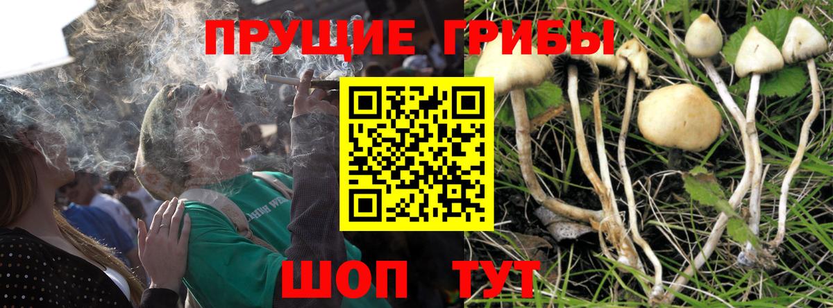 Первоуральск  Псилоцибиновые грибы MAGIC MUSHROOMS  Вход с VPN 